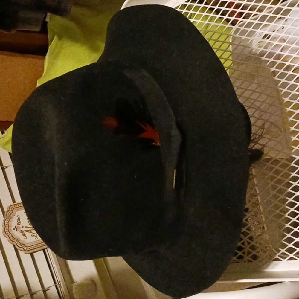 Men's Black Fedora Hat with Feather Trim